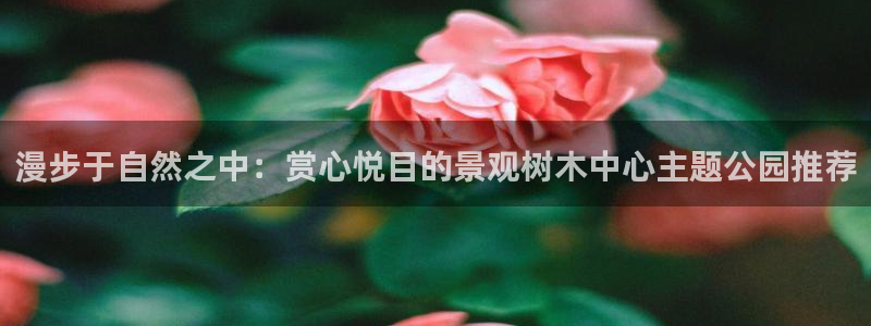 卧龙娱乐挂机平台:漫步于自然之中:赏心悦目的景观树木中心主题公园推荐